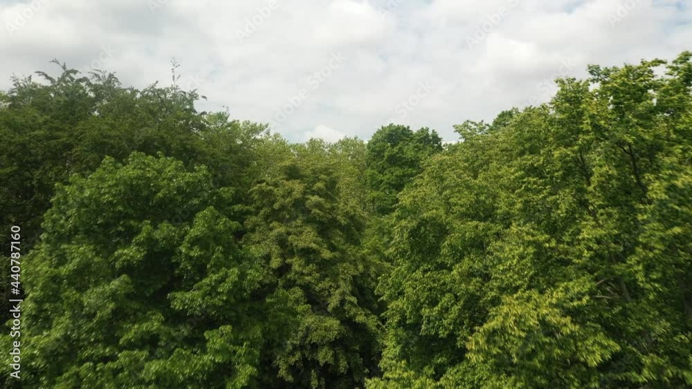 Aerial shot of lush green trees raising up to reveal cityscape and clear beautiful sky. Aerial shot of lush green trees raising up to reveal cityscape and clear beautiful sky.
