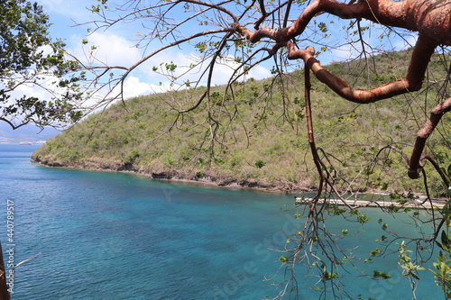 Vue Panoramique Anse Noir Martinique Antilles Françaises Caraïbes