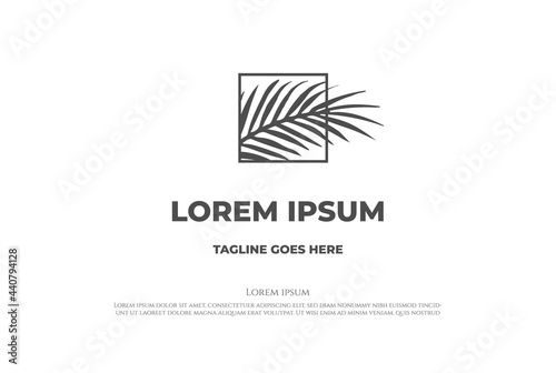 Elegant Luxury Square Coconut Palm Date Leaf Leaves Nature Garden Logo Design Vector