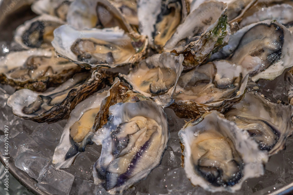 Thai seafood flavor mantis shrimp shrimp oyster and mussels / Cooked food served seafood buffet concept Thai seafood flavor mantis shrimp shrimp oyster and mussels / Cooked food served seafood buffet concept