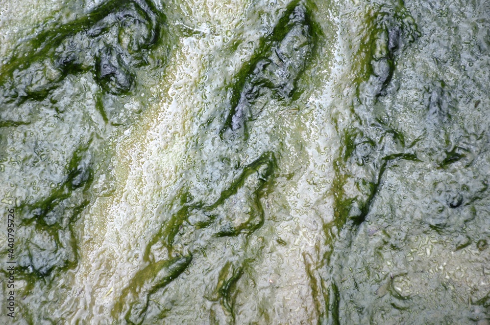 Obraz premium close up wet muddy texture