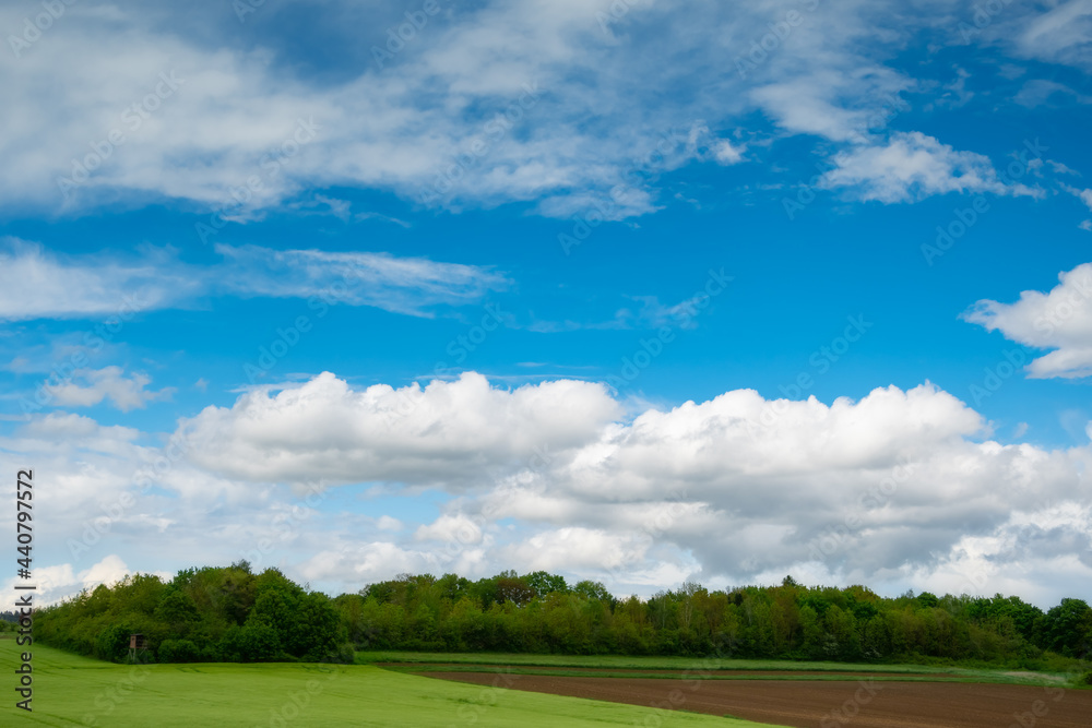 summer blue sky with clouds and view of the field with green grass