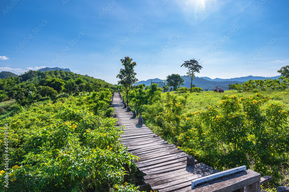 Beautiful landscape view and wooden bridge on Phu Lamduan at loei thailand.Phu Lamduan is a new tourist attraction and viewpoint of mekong river between thailand and loas.