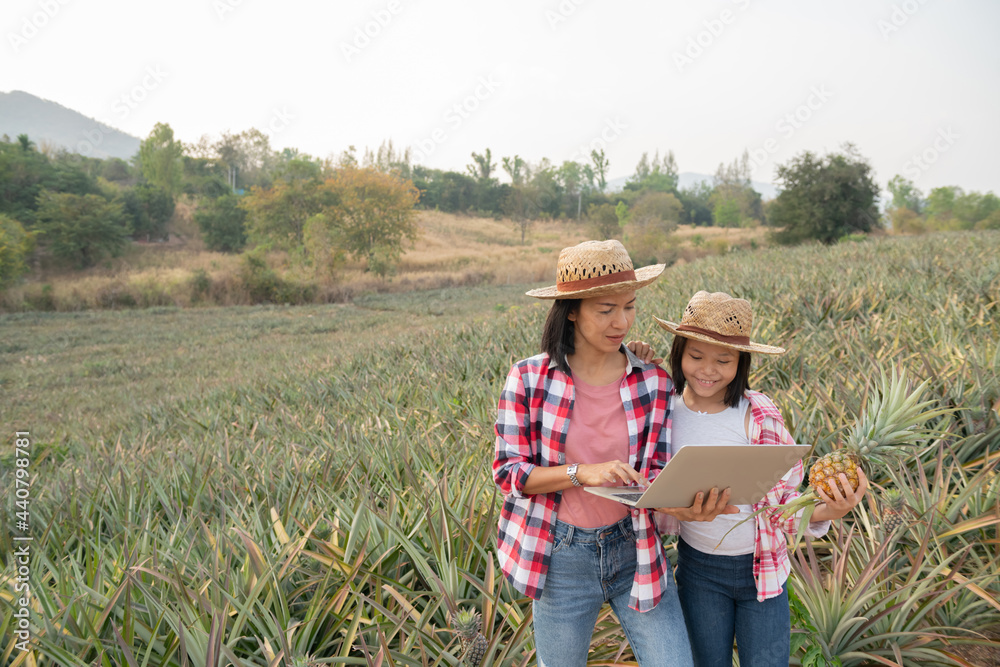 Asian farmer have mother and daughter see growth of pineapple in farm and save the data to the tablet, Agricultural Industry Concept. family farmer working in pineapple farm To collect data to study.