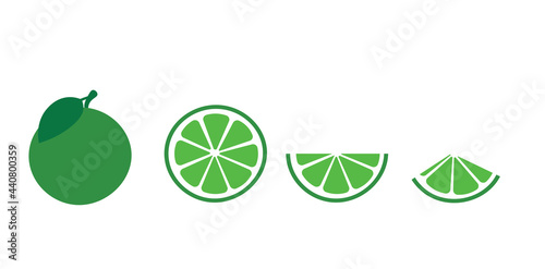 Lime segmented green citrus fruit, mojito ingredient, sour, vitamins, isolated vector flat design