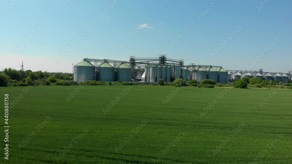 Green field on the background of grain elevators. Agricultural business. Young wheat field. Green field on the background of grain elevators. Agricultural business. Young wheat field.