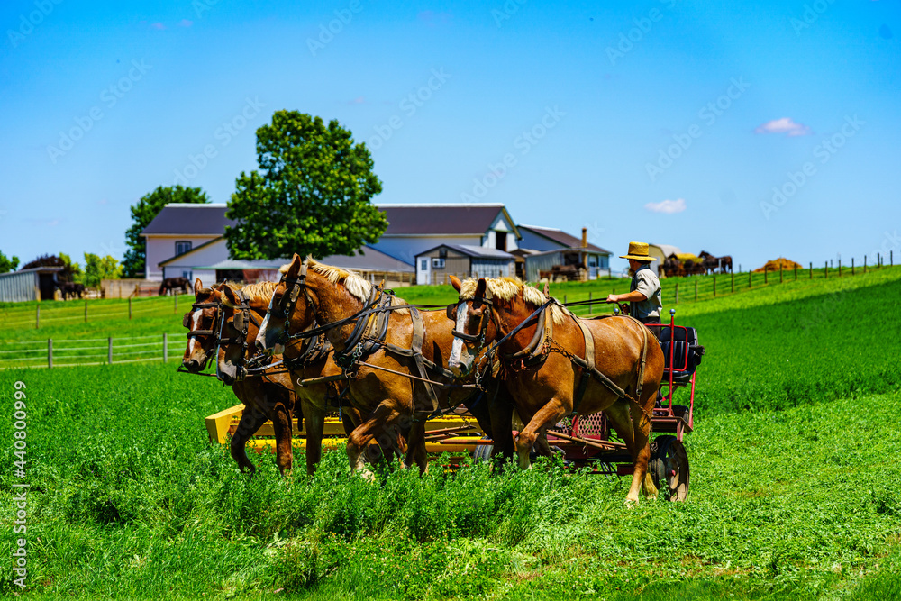 Obraz premium Working the Field