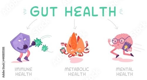 Why gut health matters. Landscape vector poster.
