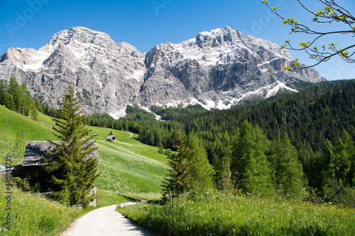 Sommerliche Dolomitenlandschaft  bei Wengen zur Zeit der Wiesenblüte - Südtirol photo