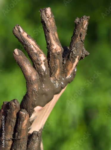 Muddy Hands of a Young Woman