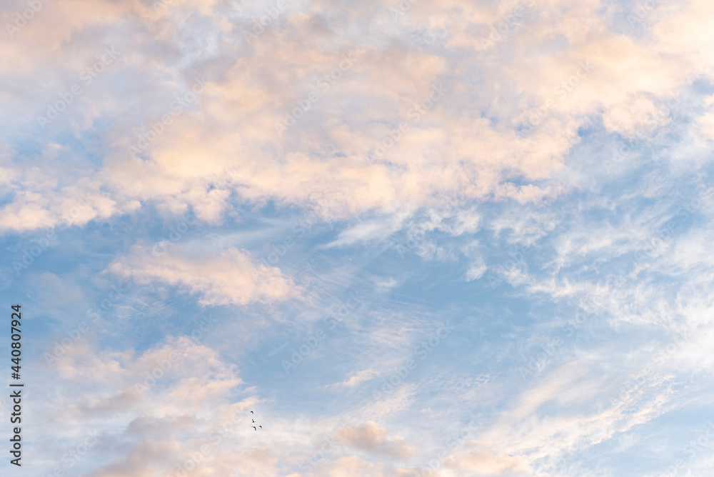 Obraz premium Abstract blue pink sky with clouds and flying four birds background wallpaper