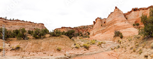 Escalante slot canyon in a dry desert environment near Utah, USA.