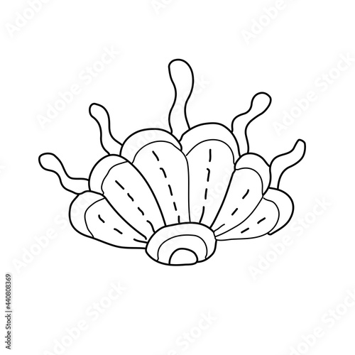 Underwater life in the sea, ocean. Single element. Corals, shells, reefs. Isolated on white