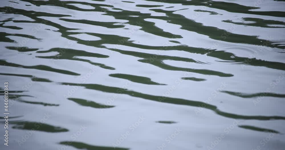 A slow motion of rain drop in the water the pond rainy day closeup