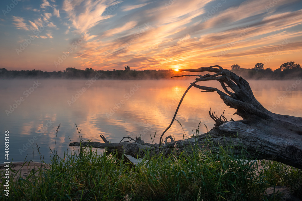 Foggy morning on the Vistula river near Gora Kalwaria, Masovia, Poland