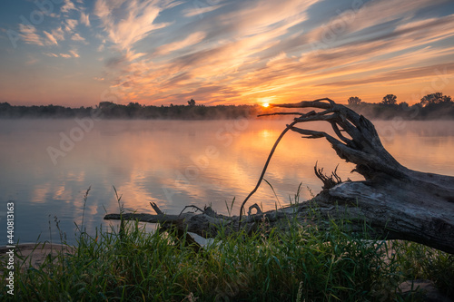 Foggy morning on the Vistula river near Gora Kalwaria, Masovia, Poland photo