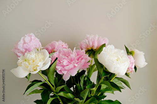 Bild auf Leinwand Cropped studio shot of beautiful peony flowers over textured background with a lot of copy space for text