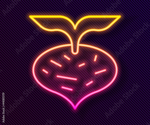 Glowing neon line Fresh beet with leaf icon isolated on black background. Natural Root. Vegetable Ingredient for food. Vector