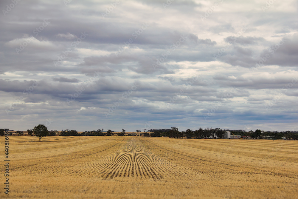 Obraz premium Farmland along Dukes Highway in rural area of Victoria, Australia