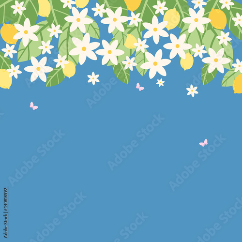 square banner.  lemons hanging on branches, an abundance of green foliage and blossoming flowers of various sizes, with fluttering pink butterflies.  vector illustration.