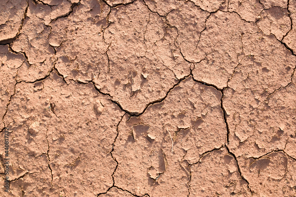 Fototapeta premium The texture of dried clay, red earth. Close-up of the soil