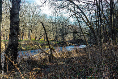 river behind fall trees