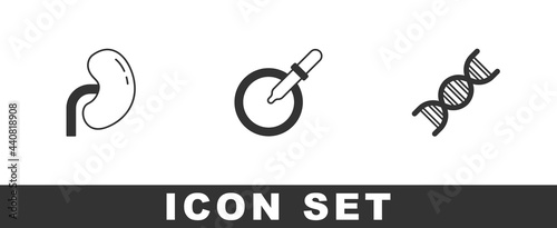 Set Human kidney, Petri dish with pipette and DNA symbol icon. Vector