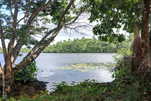 Coast of a river in northeastern Brazil