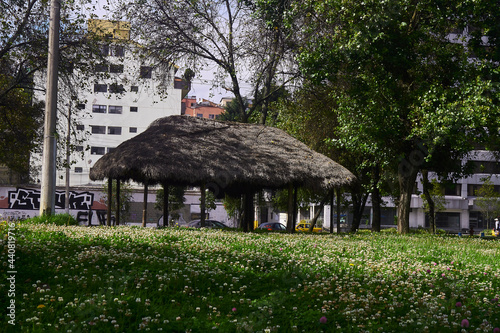 country hut, Simple thatched hut surrounded by wild plants and trees
