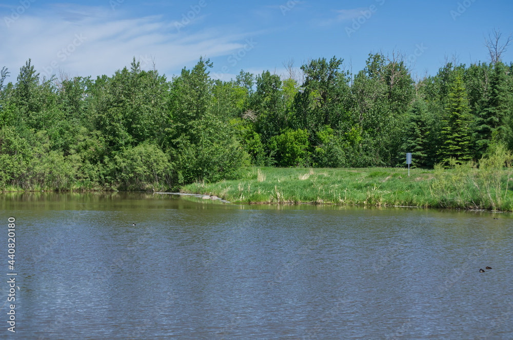Pylypow Wetlands in Late Spring