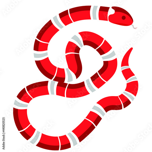 Red Venomous Snake