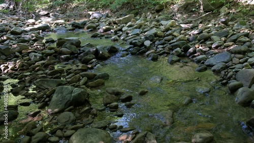 Babbling Brook 4K