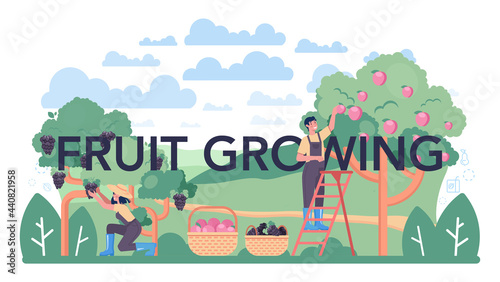 Fototapeta Naklejka Na Ścianę i Meble -  Fruit growing typographic header. Idea of agriculture and cultivation