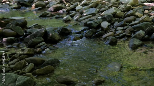 Babbling Brook Close-Up 4K