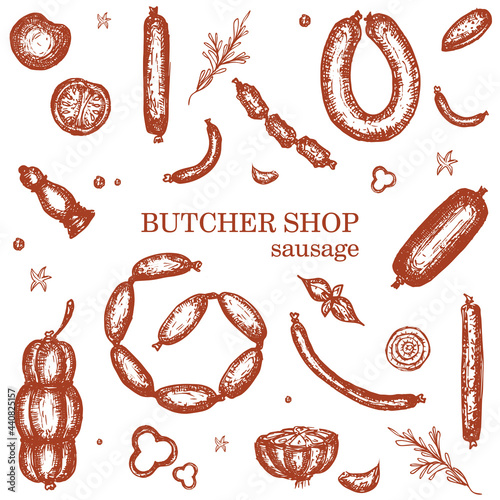Sausage, butcher shop. Set of vector icons, hand graphics. Types of sausages: salami, boiled, bacon, smoked.