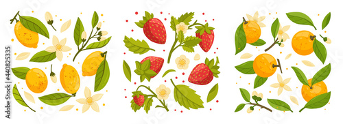Collection of lemon and orange tree branches with fruits, fresh strawberries, green leaves and flowers. Fresh citrus and organic berries. Exotical tropical plant. Flat vector illustration.