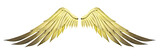Golden god wing with gold color isolated and clipping path
