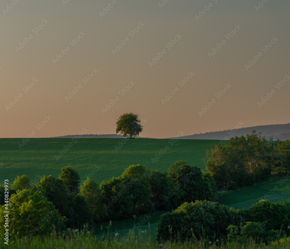 Landscape near Roprachtice village in spring summer evening