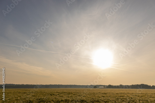 agricutlural wheat field in the morning sun, outdoors photo