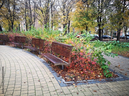 bench in the park