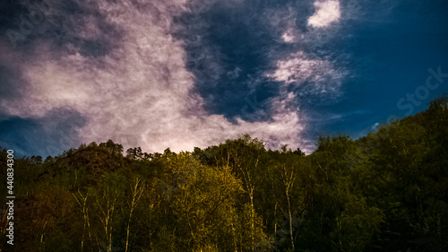 Cloudes over trees