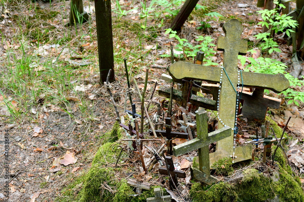A view of a large collection of Christian and Orthodox crosses brought to the sacred place by pilgrims seen in the dense forest or moor surrounded by lush greenery seen on a sunny summer day in Poland A view of a large collection of Christian and Orthodox crosses brought to the sacred place by pilgrims seen in the dense forest or moor surrounded by lush greenery seen on a sunny summer day in Poland