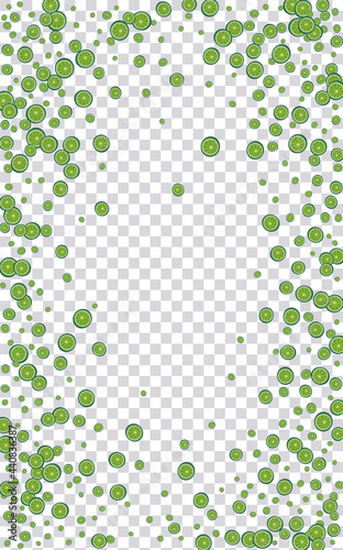 Greenish Citrus Background Transparent Vector. Colorful Pattern. Bright Fruit Vegetable. Half Citrus Yellow Decoration.