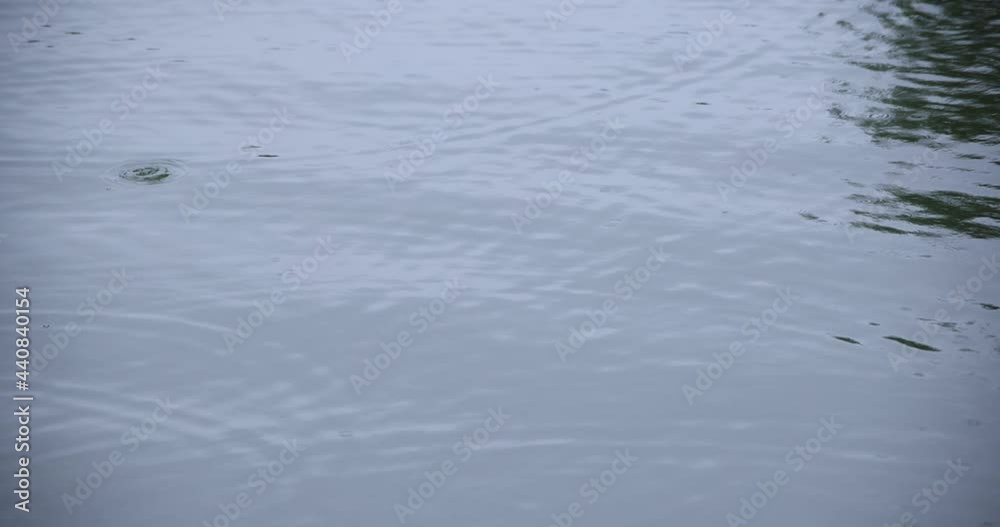 A slow motion of rain drop in the water the pond rainy day A slow motion of rain drop in the water the pond rainy day