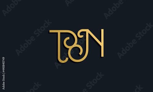 Luxury fashion initial letter TN logo.