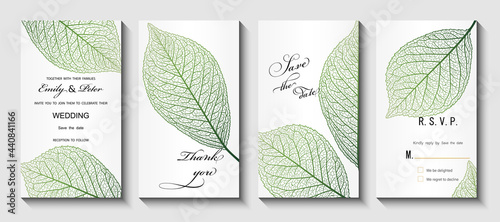 Wedding invitation.  Background with leaf vein. Vector illustration.