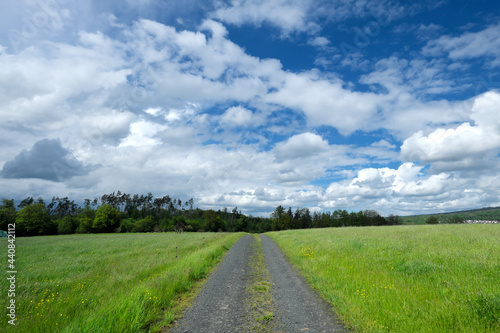 Feldweg durch Wiese mit hohem Gras zum Horizont mit Bäumen und blauer Himmel mit vielen weißen Wolken - Stockfoto