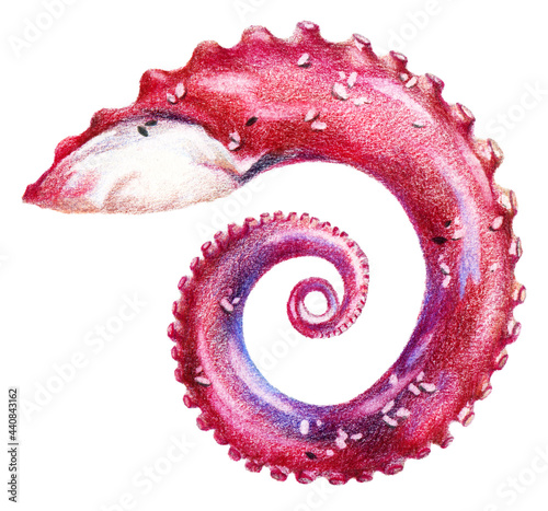 Foto Color pencils illustration of seafood