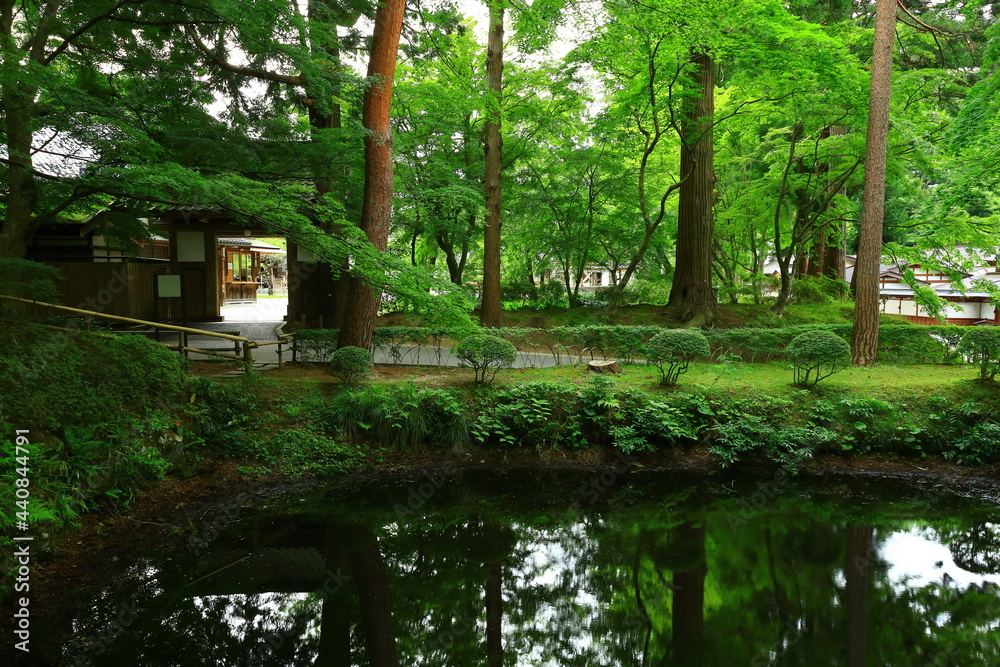 世界遺産 新緑の中尊寺 世界遺産 新緑の中尊寺