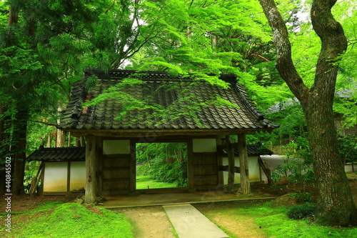 世界遺産 新緑の中尊寺